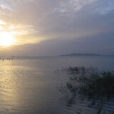 2026/02/28 無錫旅情と言えば