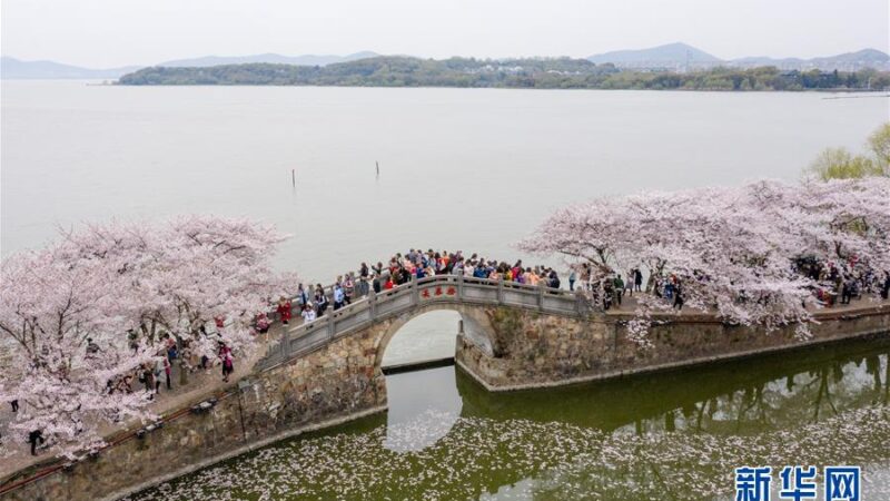 2026/02/28 無錫旅情